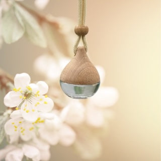 Boho Tear Drop Car Diffuser