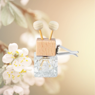 Boho Reeds + Vent Car Diffuser